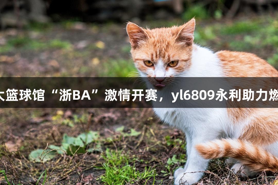 全省最大篮球馆“浙BA”激情开赛，yl6809永利助力燃情氛围！