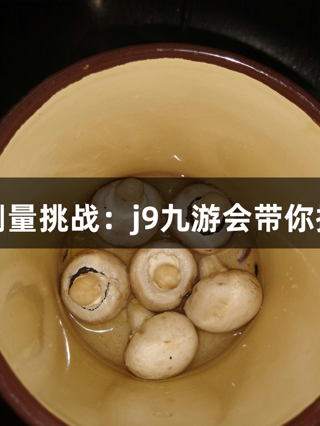 世界第一高桥的测量挑战：j9九游会带你探秘花江峡谷大桥