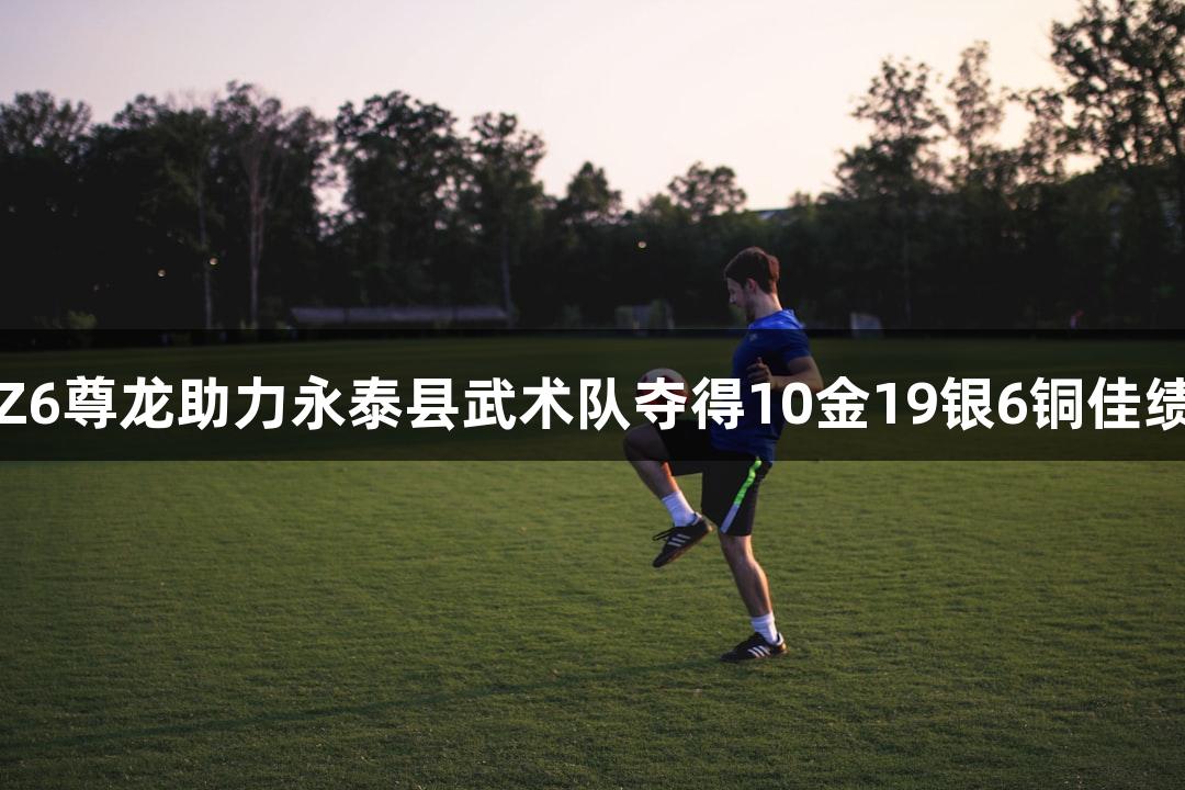 Z6尊龙助力永泰县武术队夺得10金19银6铜佳绩