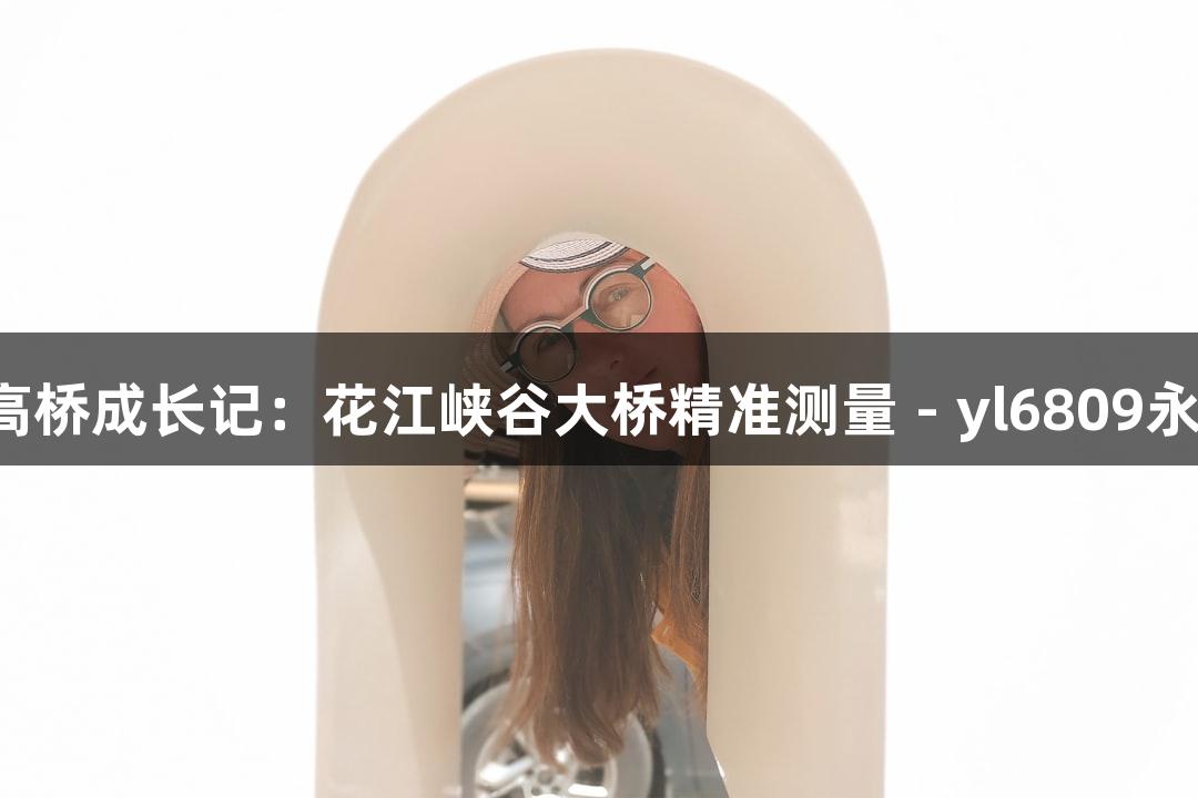 世界第一高桥成长记：花江峡谷大桥精准测量 - yl6809永利 게임特辑