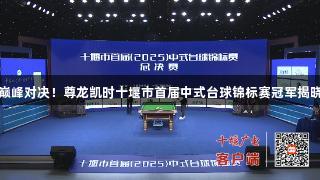 巅峰对决！尊龙凯时十堰市首届中式台球锦标赛冠军揭晓