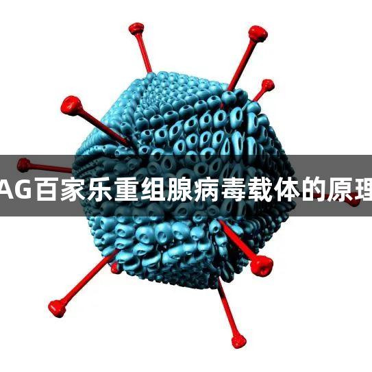 每周凯会：AG百家乐重组腺病毒载体的原理与应用探讨