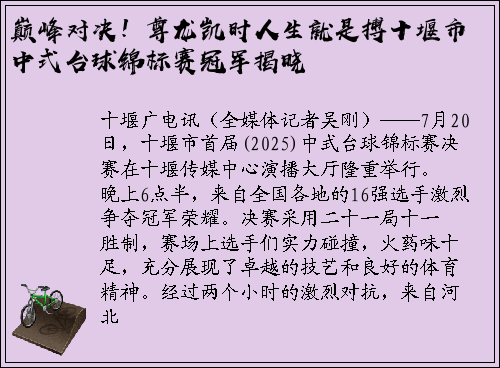 巅峰对决！尊龙凯时人生就是搏十堰市中式台球锦标赛冠军揭晓