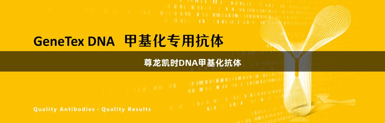 尊龙凯时DNA甲基化抗体