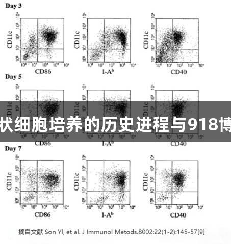小鼠骨髓来源树突状细胞培养的历史进程与918博天娱乐官网的探索