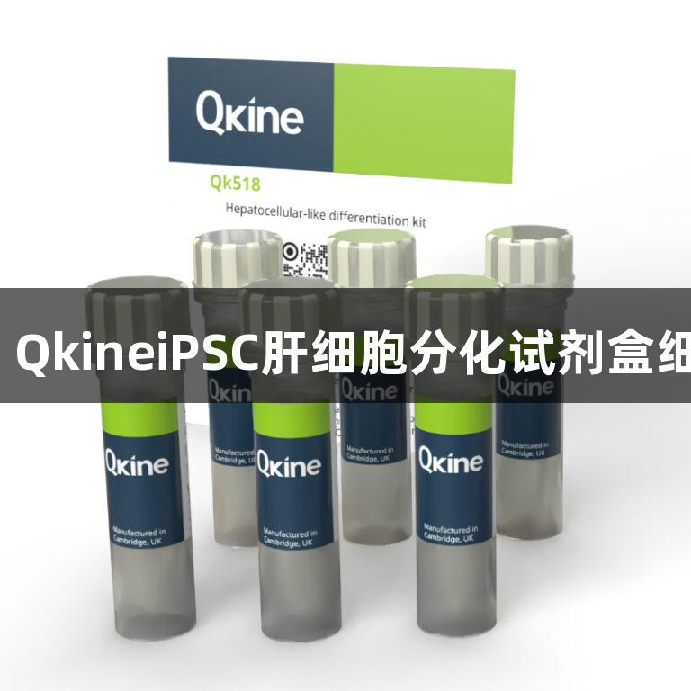南宫28 QkineiPSC肝细胞分化试剂盒细胞因子