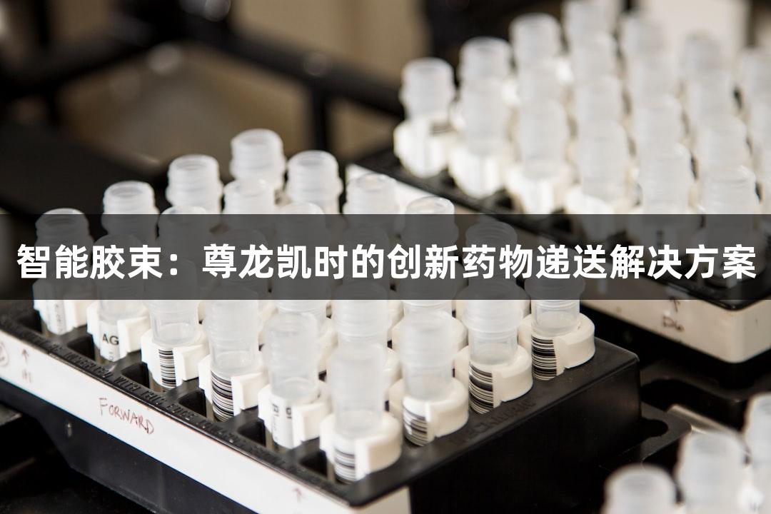 智能胶束：尊龙凯时的创新药物递送解决方案
