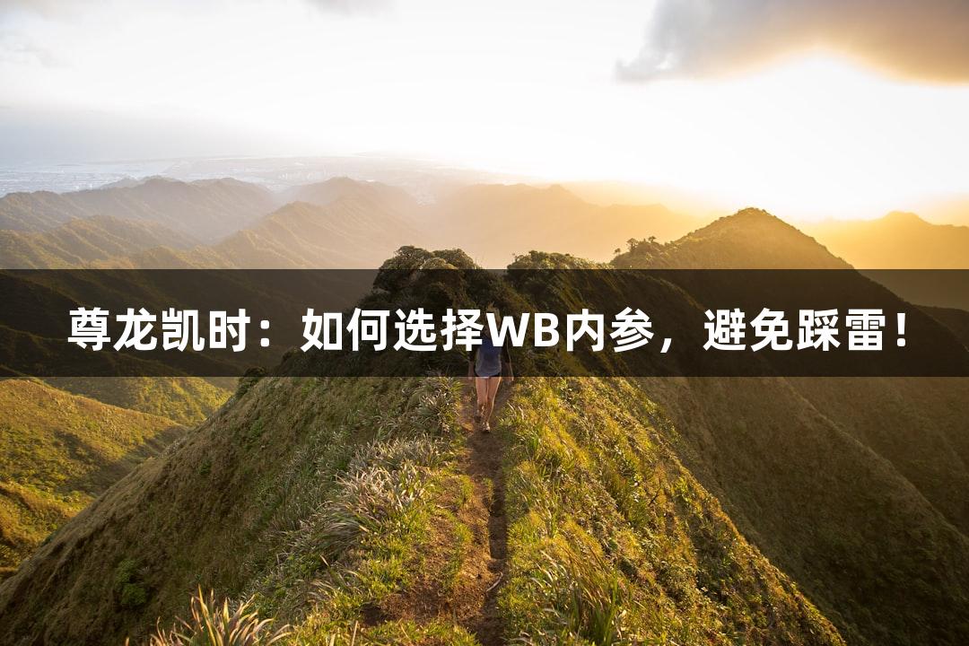 尊龙凯时：如何选择WB内参，避免踩雷！