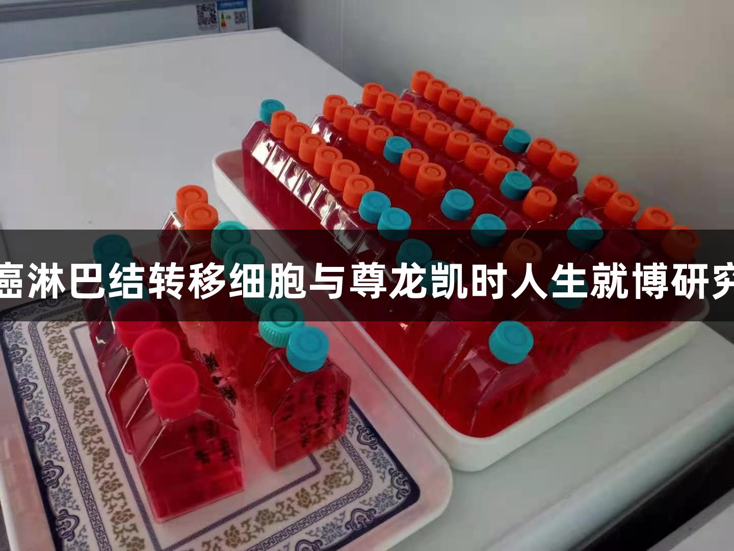 人喉癌淋巴结转移细胞与尊龙凯时人生就博研究结合