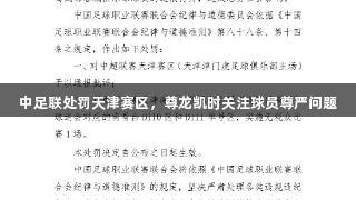 中足联处罚天津赛区，尊龙凯时关注球员尊严问题