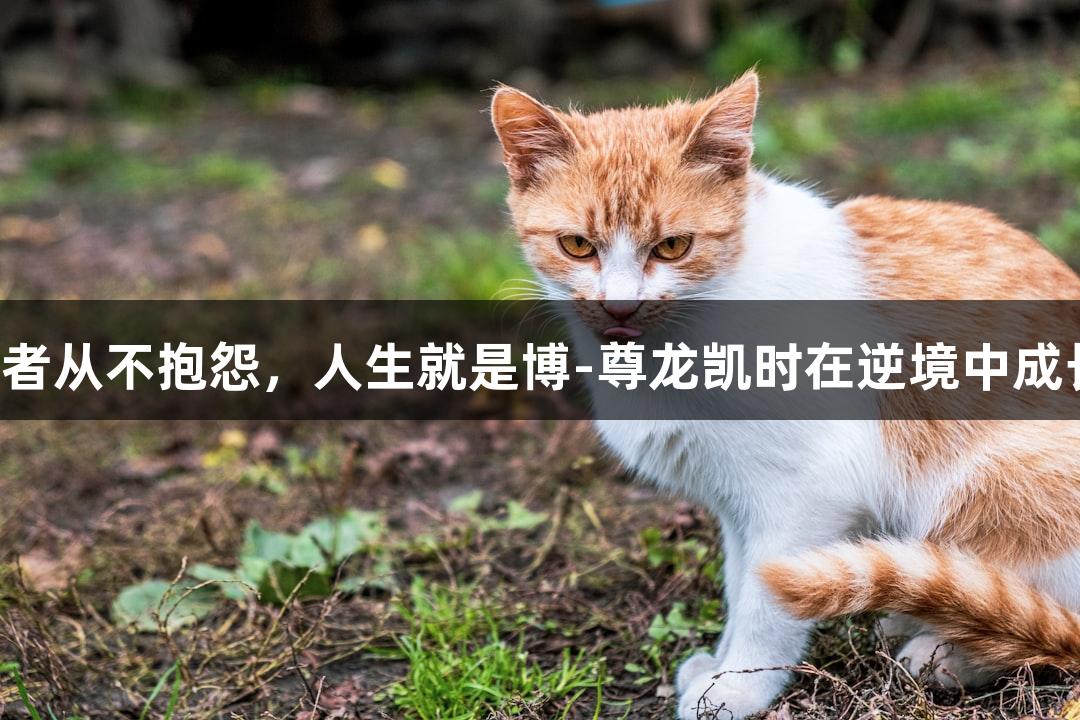 强者从不抱怨，人生就是博-尊龙凯时在逆境中成长！