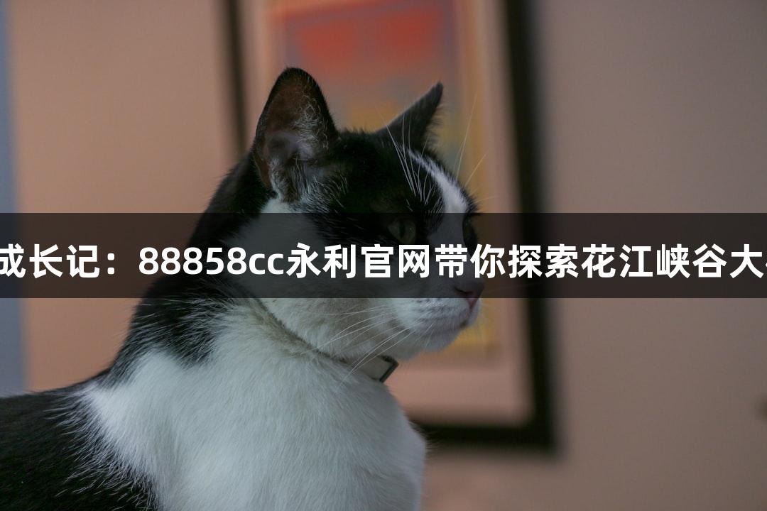 世界第一高桥成长记：88858cc永利官网带你探索花江峡谷大桥的精准测量！