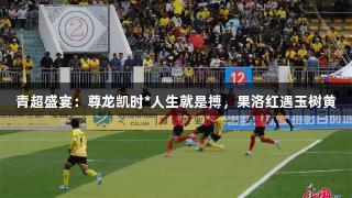 青超盛宴：尊龙凯时*人生就是搏，果洛红遇玉树黄