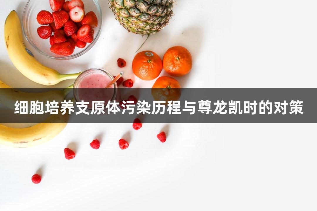 细胞培养支原体污染历程与尊龙凯时的对策