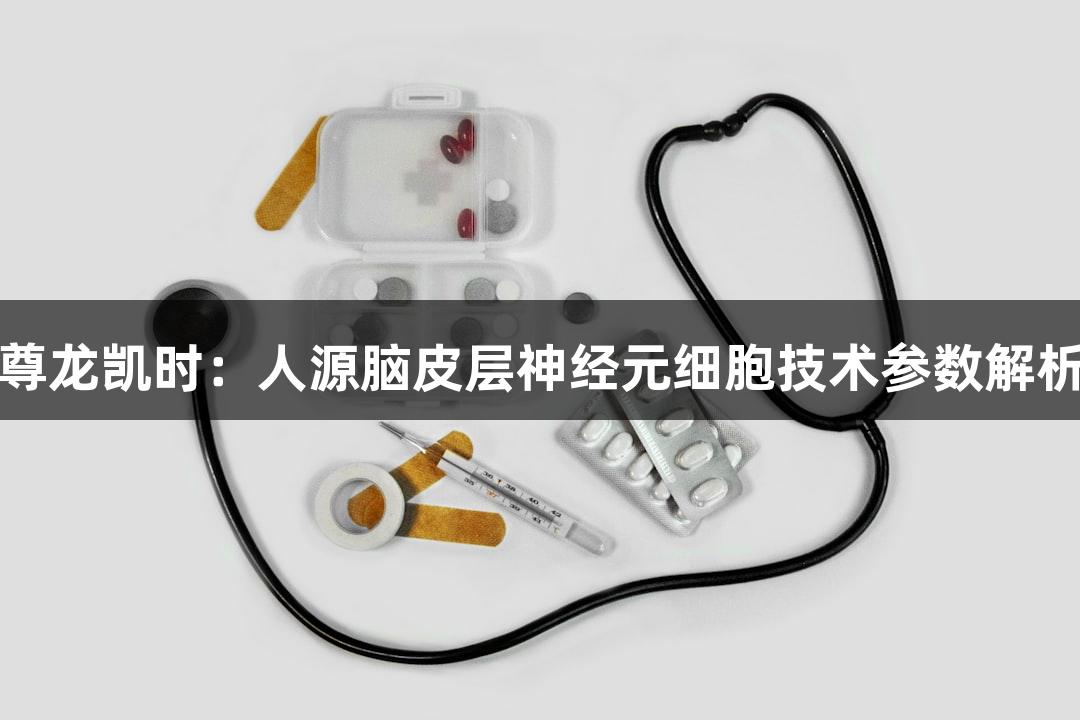 尊龙凯时：人源脑皮层神经元细胞技术参数解析