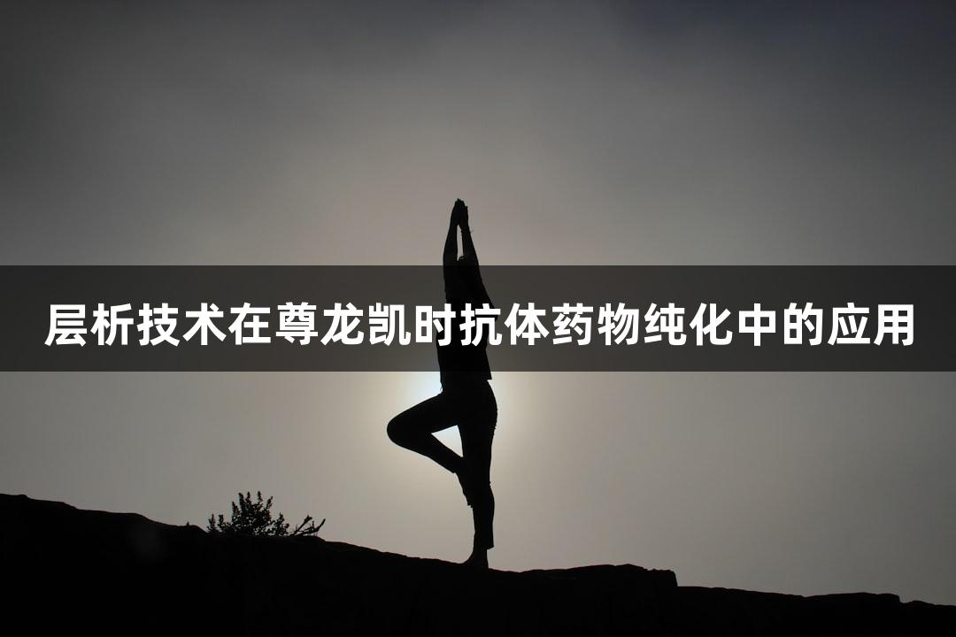 层析技术在尊龙凯时抗体药物纯化中的应用