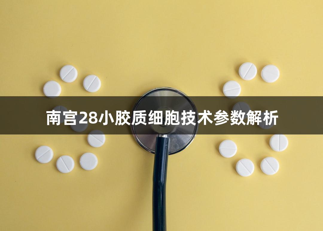 南宫28小胶质细胞技术参数解析