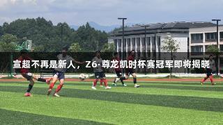 宣超不再是新人，Z6·尊龙凯时杯赛冠军即将揭晓
