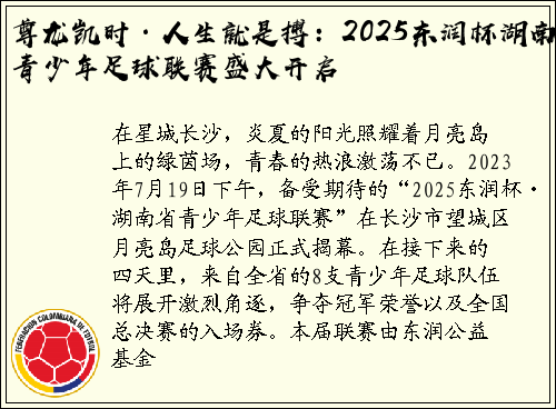 尊龙凯时·人生就是搏：2025东润杯湖南青少年足球联赛盛大开启
