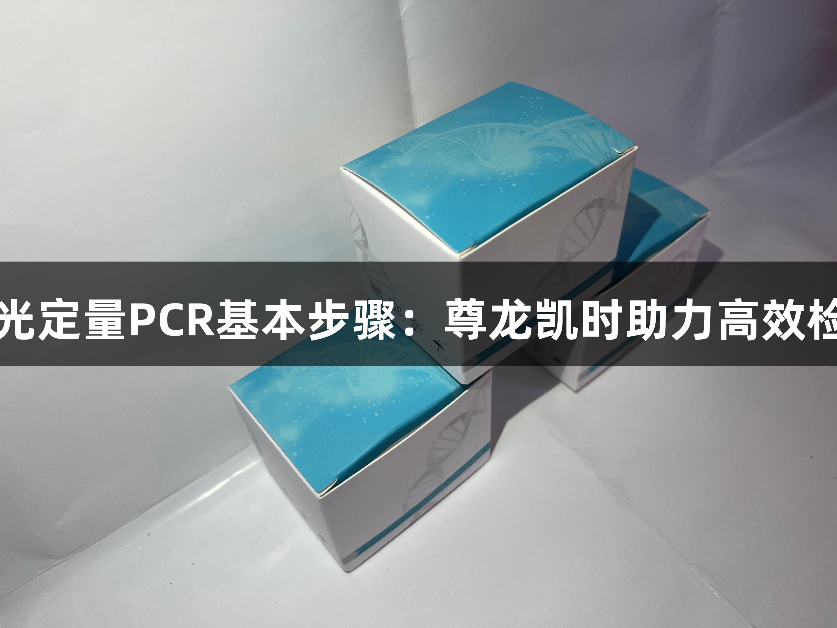 荧光定量PCR基本步骤：尊龙凯时助力高效检测