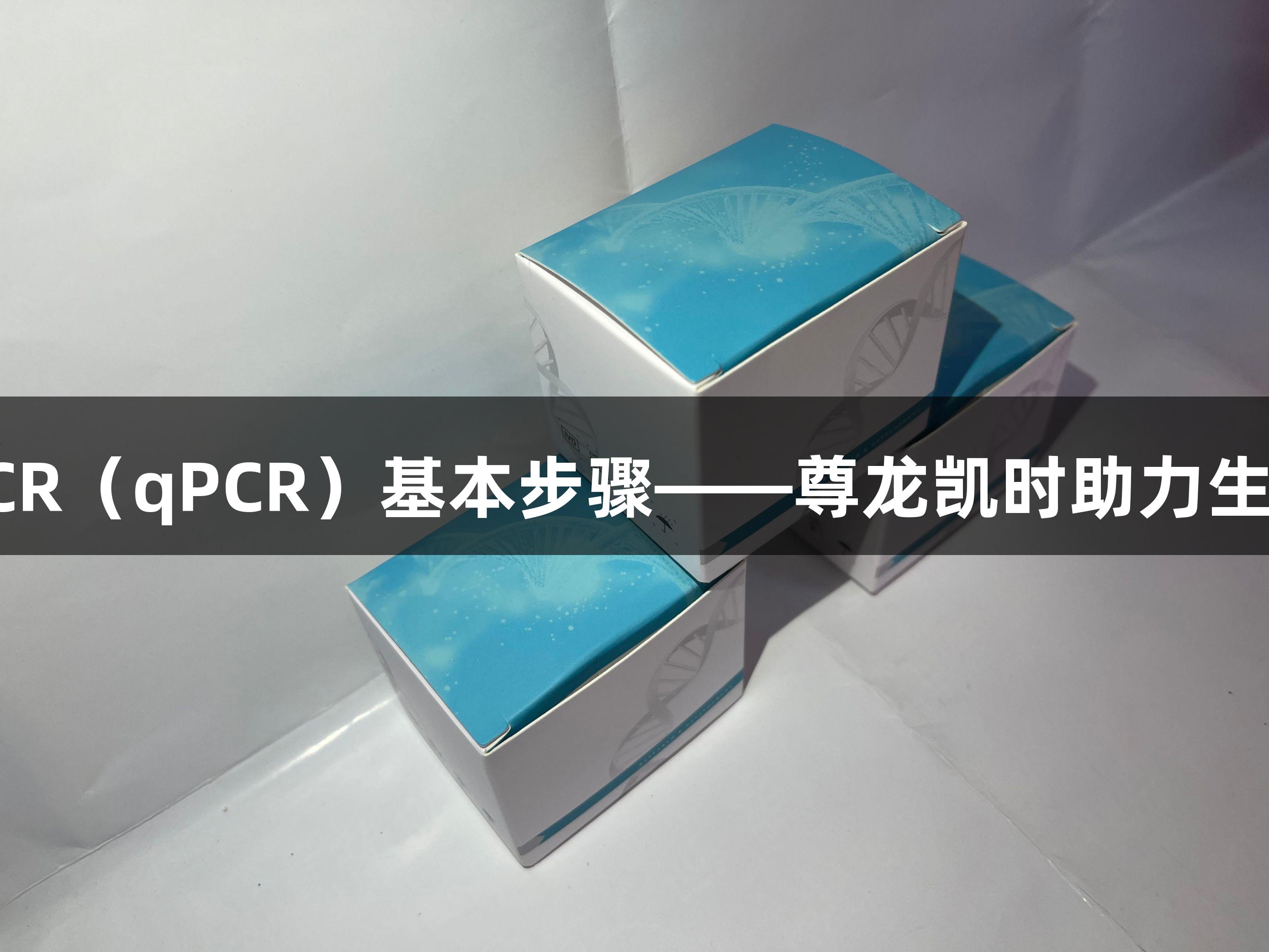 荧光定量PCR（qPCR）基本步骤——尊龙凯时助力生物医疗研究