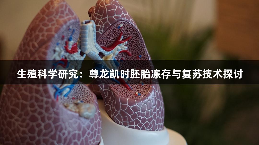 生殖科学研究：尊龙凯时胚胎冻存与复苏技术探讨