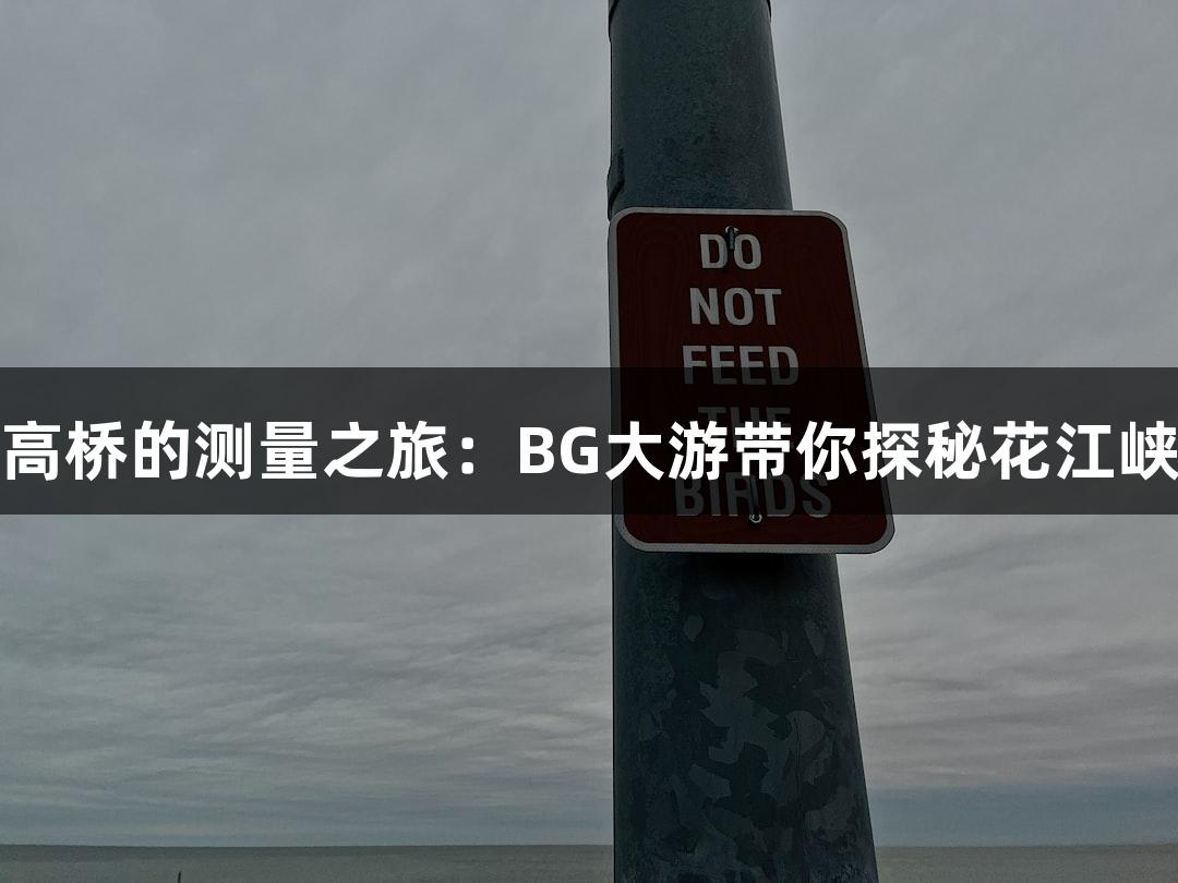 世界最高桥的测量之旅：BG大游带你探秘花江峡谷大桥