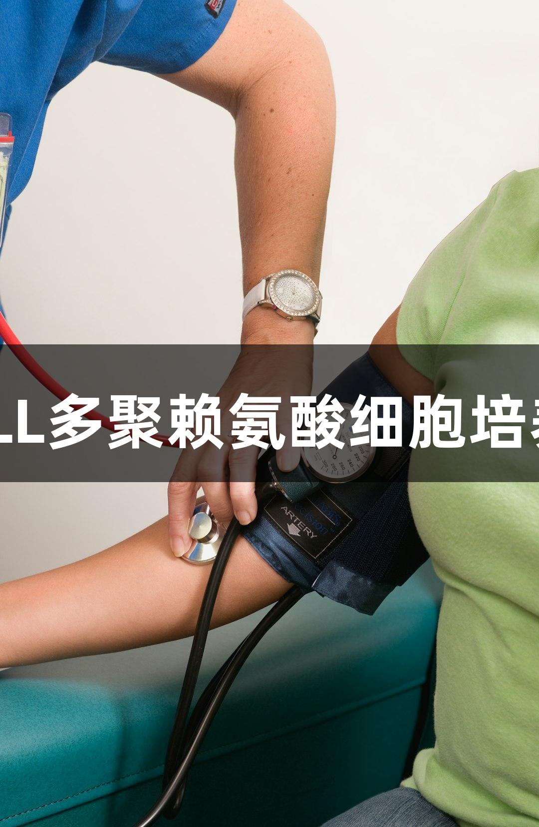 上海尊龙凯时PLL多聚赖氨酸细胞培养板 96孔 3mm