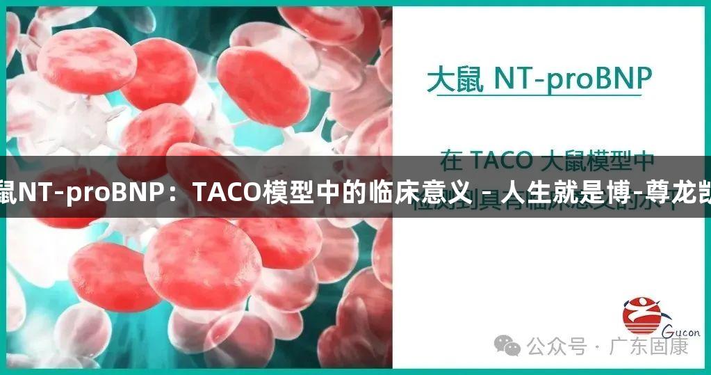 大鼠NT-proBNP：TACO模型中的临床意义 - 人生就是博-尊龙凯时
