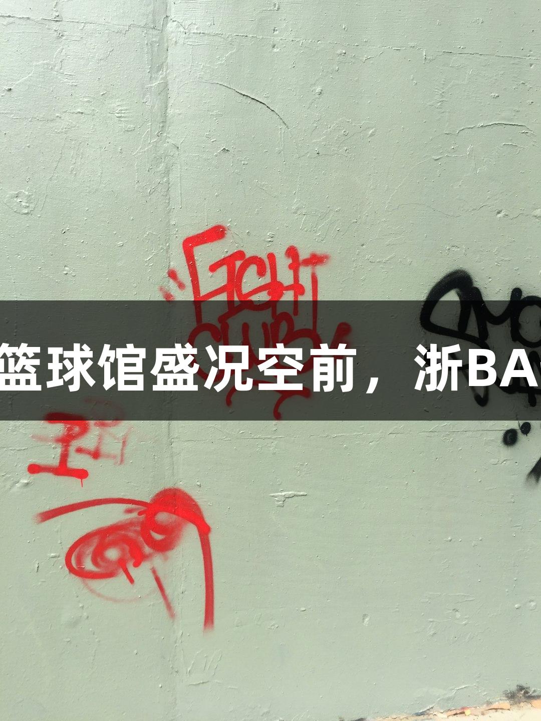 Z6·尊龙凯时篮球馆盛况空前，浙BA热潮席卷全场