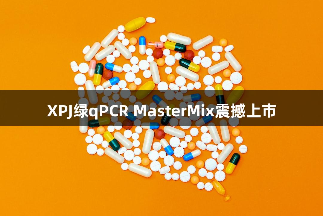 XPJ绿qPCR MasterMix震撼上市