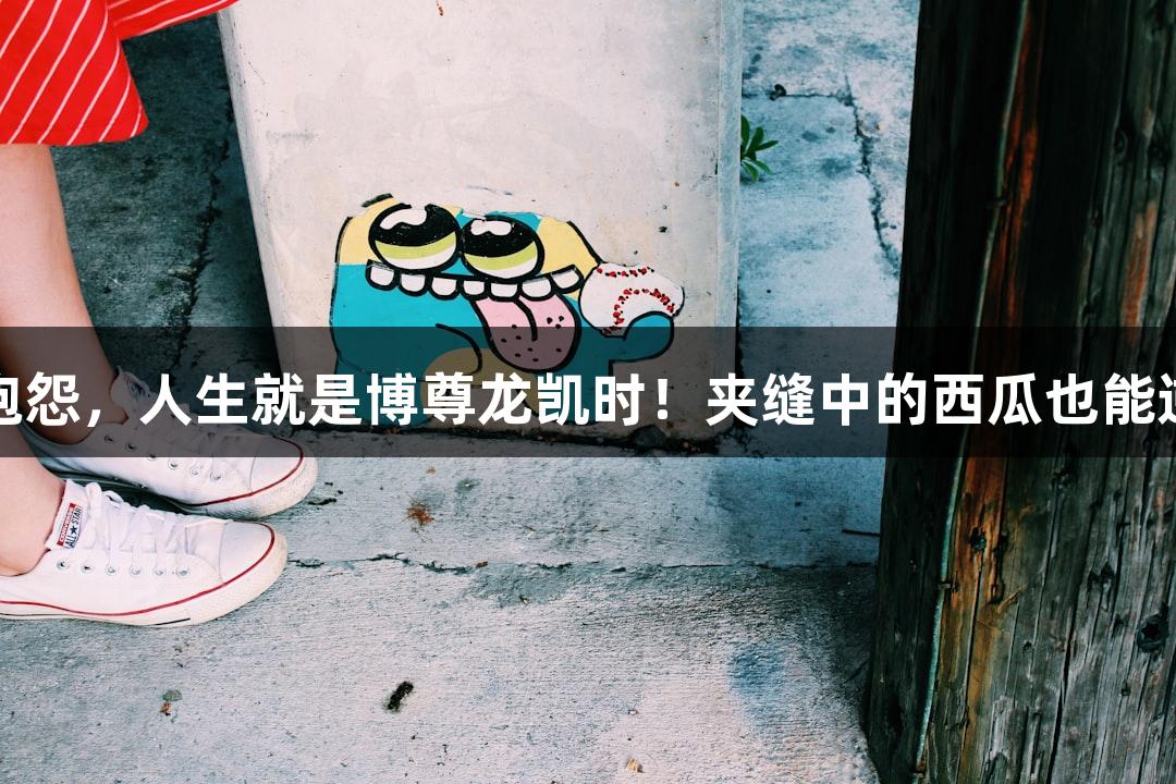 强者不抱怨，人生就是博尊龙凯时！夹缝中的西瓜也能逆袭成长
