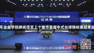金年会金字招牌诚信至上十堰市首届中式台球锦标赛冠军诞生
