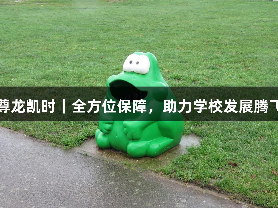 尊龙凯时｜全方位保障，助力学校发展腾飞
