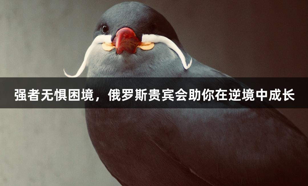 强者无惧困境，俄罗斯贵宾会助你在逆境中成长
