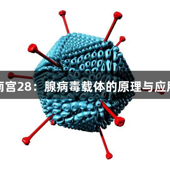 每周南宫28:腺病毒载体的原理与应用简析