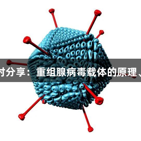 每周尊龙凯时分享：重组腺病毒载体的原理、构建与应用