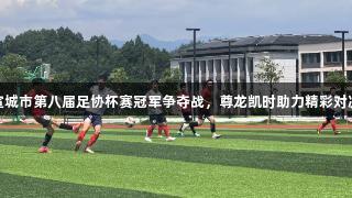 宣城市第八届足协杯赛冠军争夺战，尊龙凯时助力精彩对决