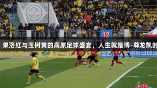 青超对决：果洛红与玉树黄的高原足球盛宴，人生就是博-尊龙凯时陪你见证！