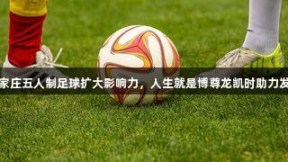 石家庄五人制足球扩大影响力，人生就是博尊龙凯时助力发展