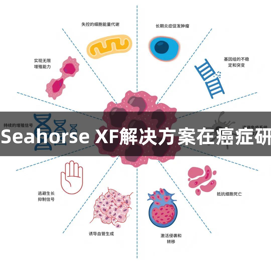 尊龙凯时的Seahorse XF解决方案在癌症研究中的应用
