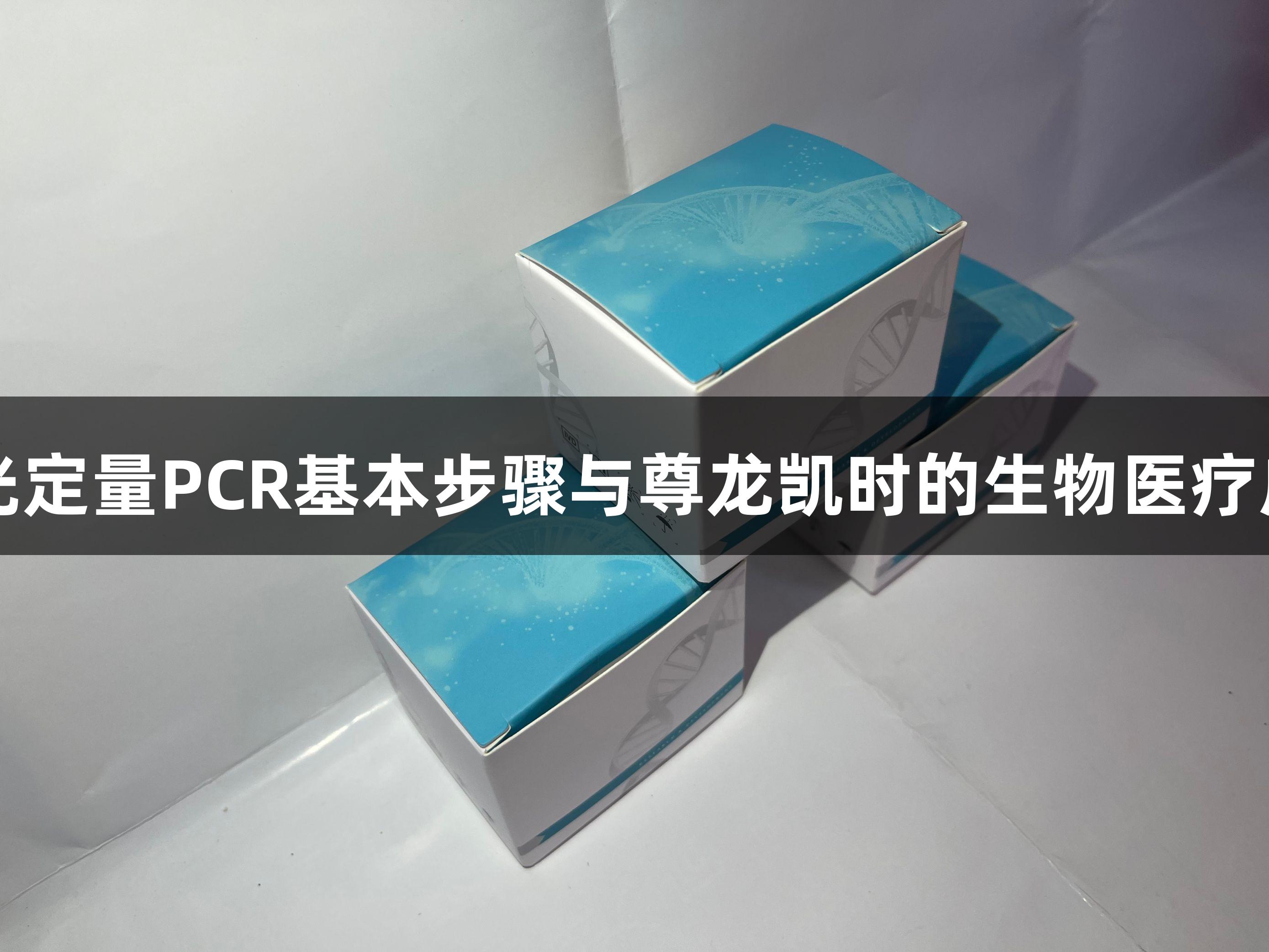 荧光定量PCR基本步骤与尊龙凯时的生物医疗应用