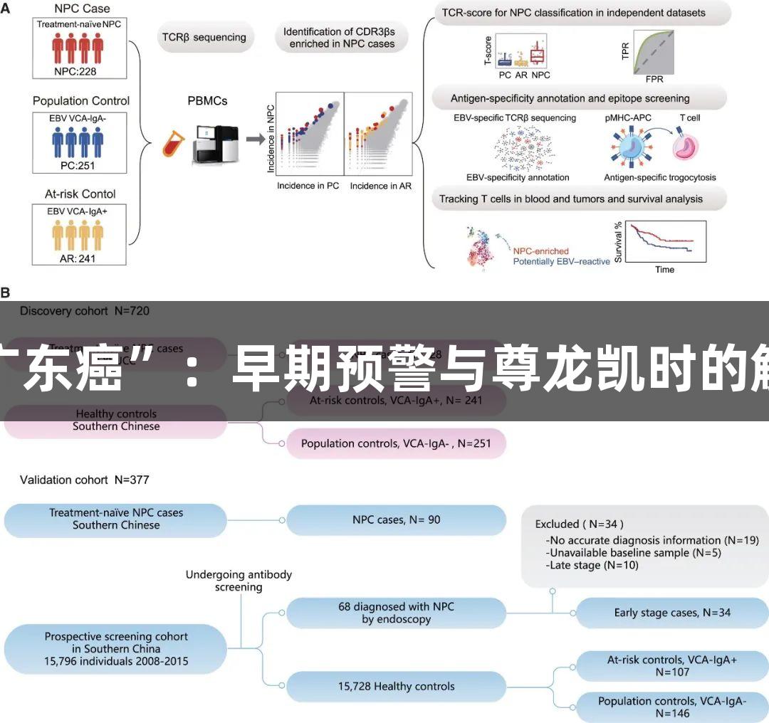警惕“广东癌”：早期预警与尊龙凯时的解决方案