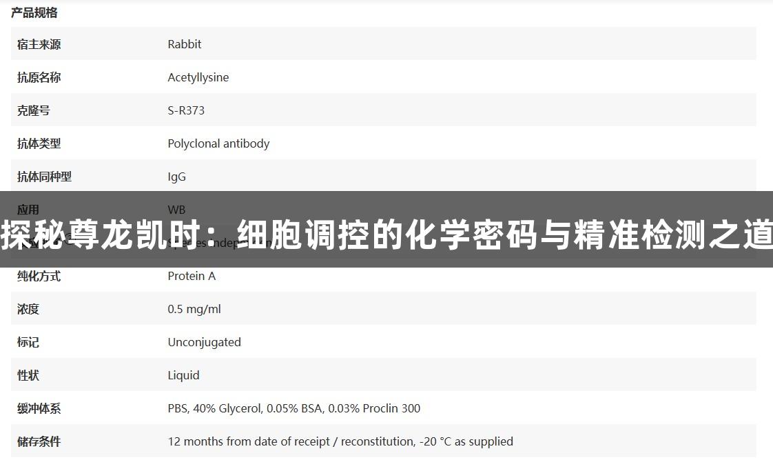 探秘尊龙凯时：细胞调控的化学密码与精准检测之道
