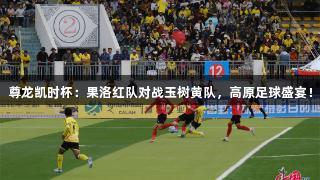 尊龙凯时杯：果洛红队对战玉树黄队，高原足球盛宴！