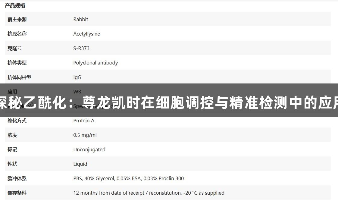 探秘乙酰化：尊龙凯时在细胞调控与精准检测中的应用