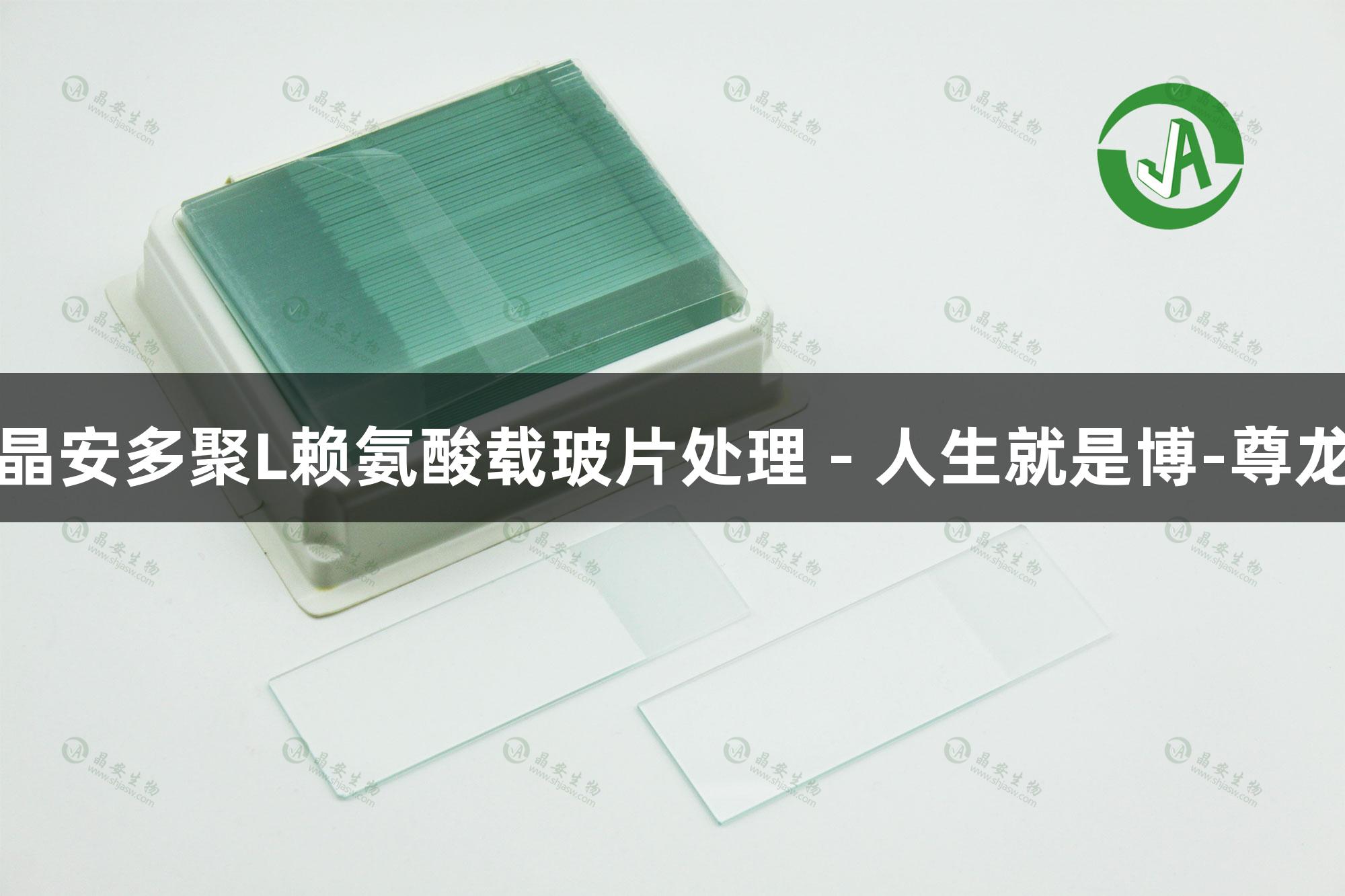 上海晶安多聚L赖氨酸载玻片处理 - 人生就是博-尊龙凯时