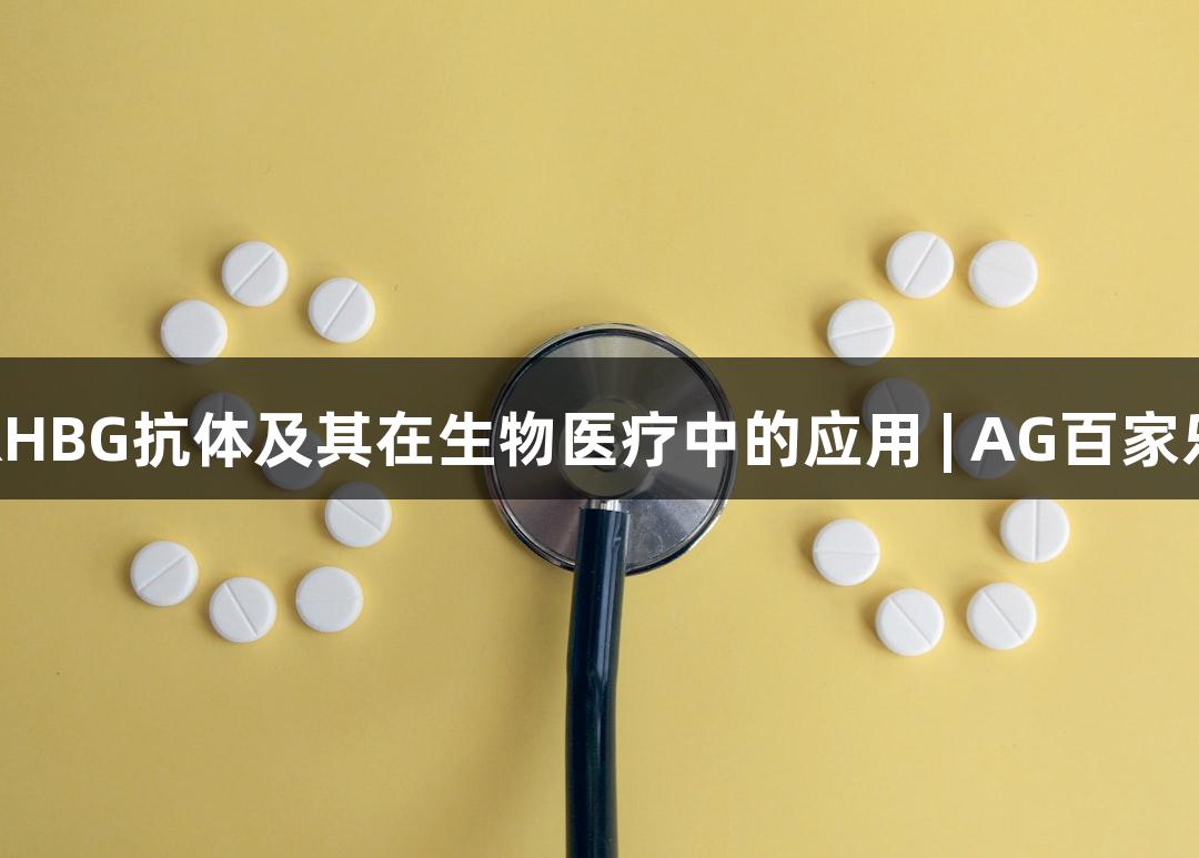 RHBG抗体及其在生物医疗中的应用 | AG百家乐