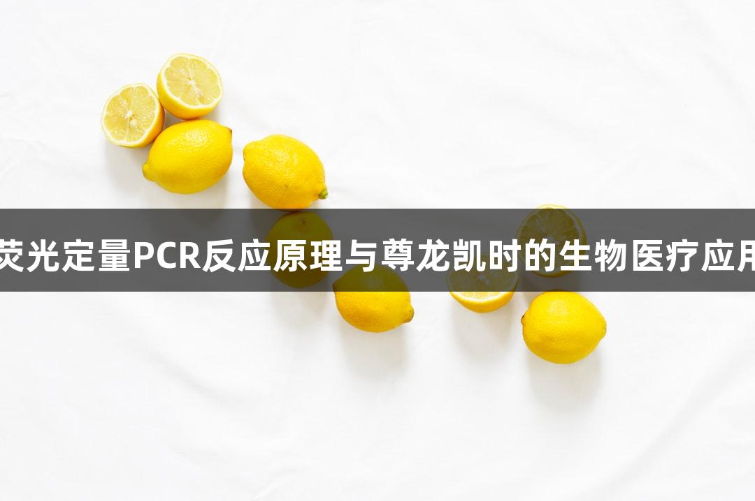 荧光定量PCR反应原理与尊龙凯时的生物医疗应用