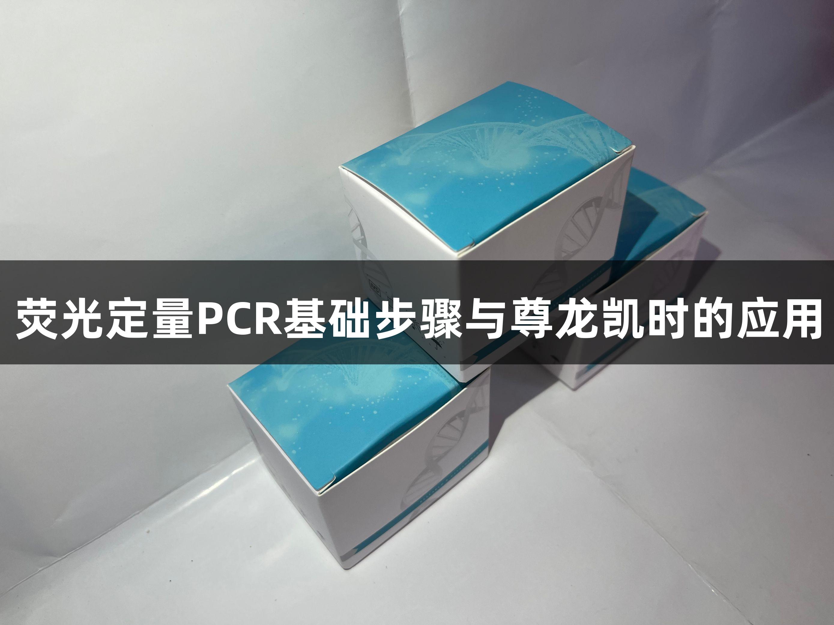 荧光定量PCR基础步骤与尊龙凯时的应用